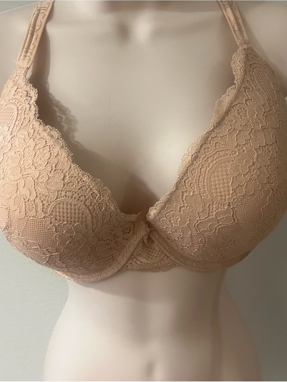 Juicy Couture Lace Underwire Bra in Nude Blush
